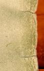Paper