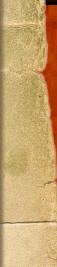Paper