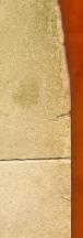 Paper