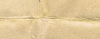 Paper