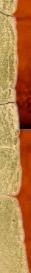 Paper