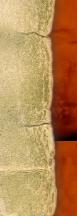 Paper