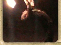 shapeimage1
